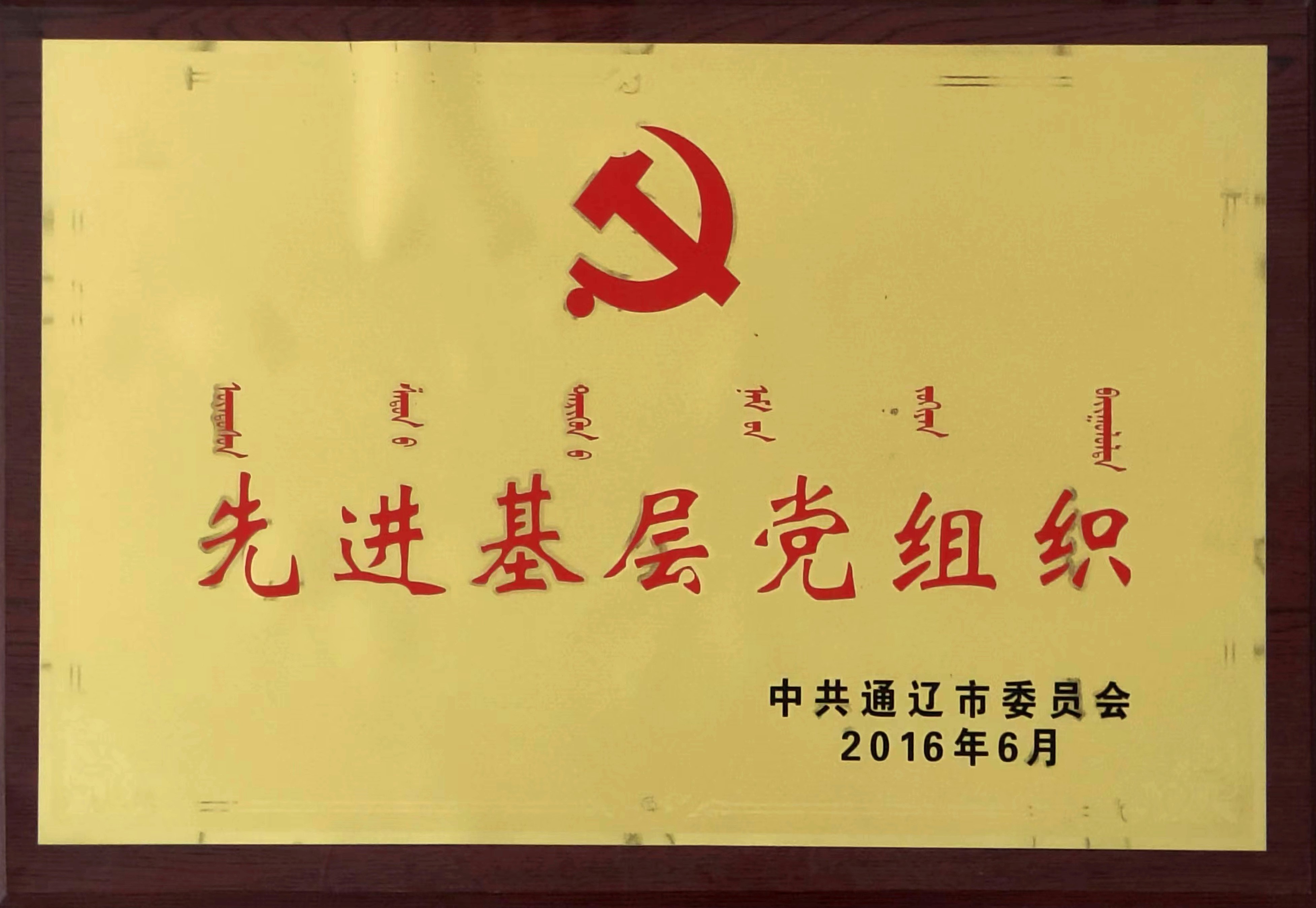 2016年度先進(jìn)基層黨組織.jpg