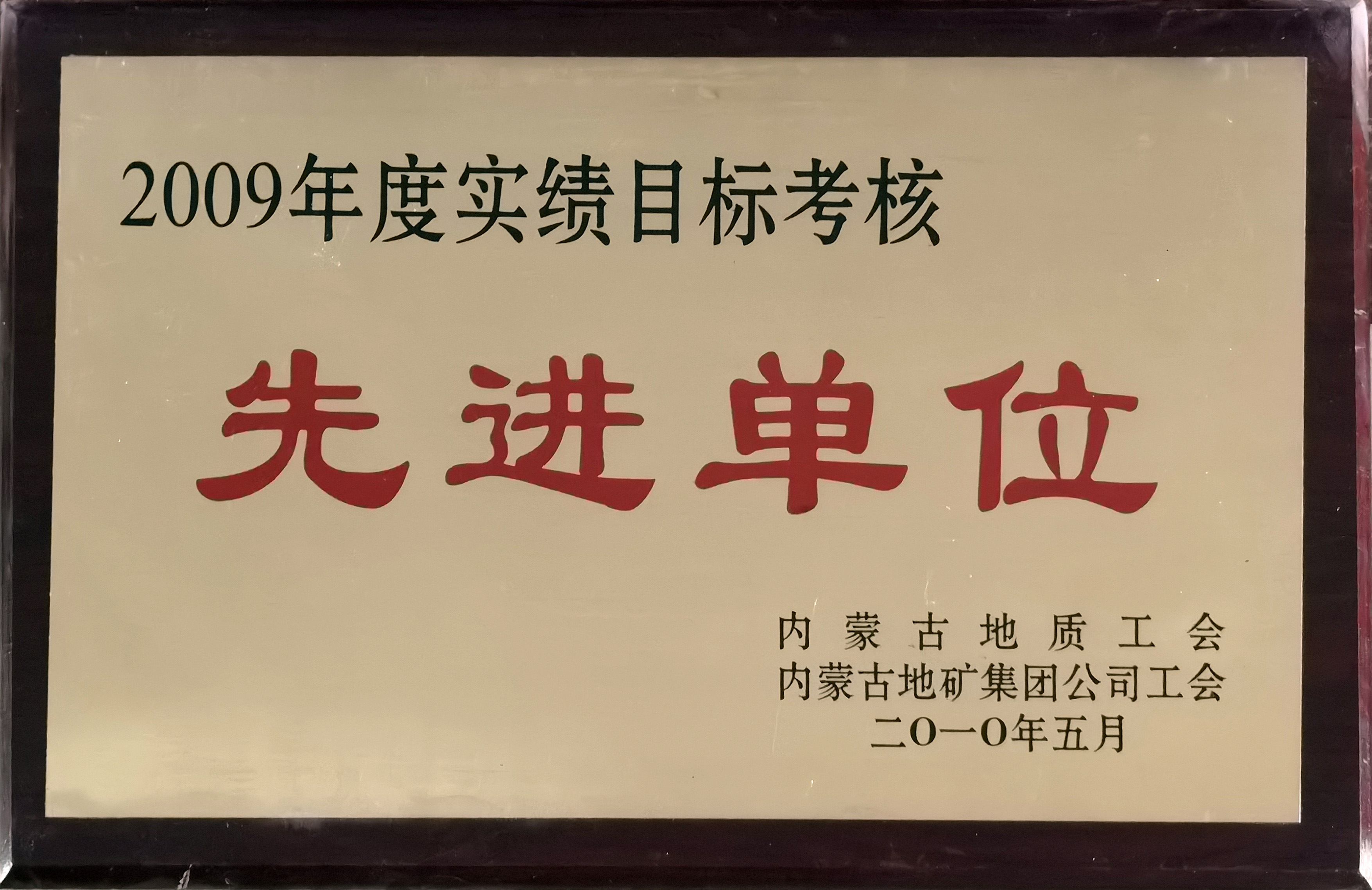 201003.2009年度實(shí)績目標(biāo)考核先進(jìn)單位.jpg