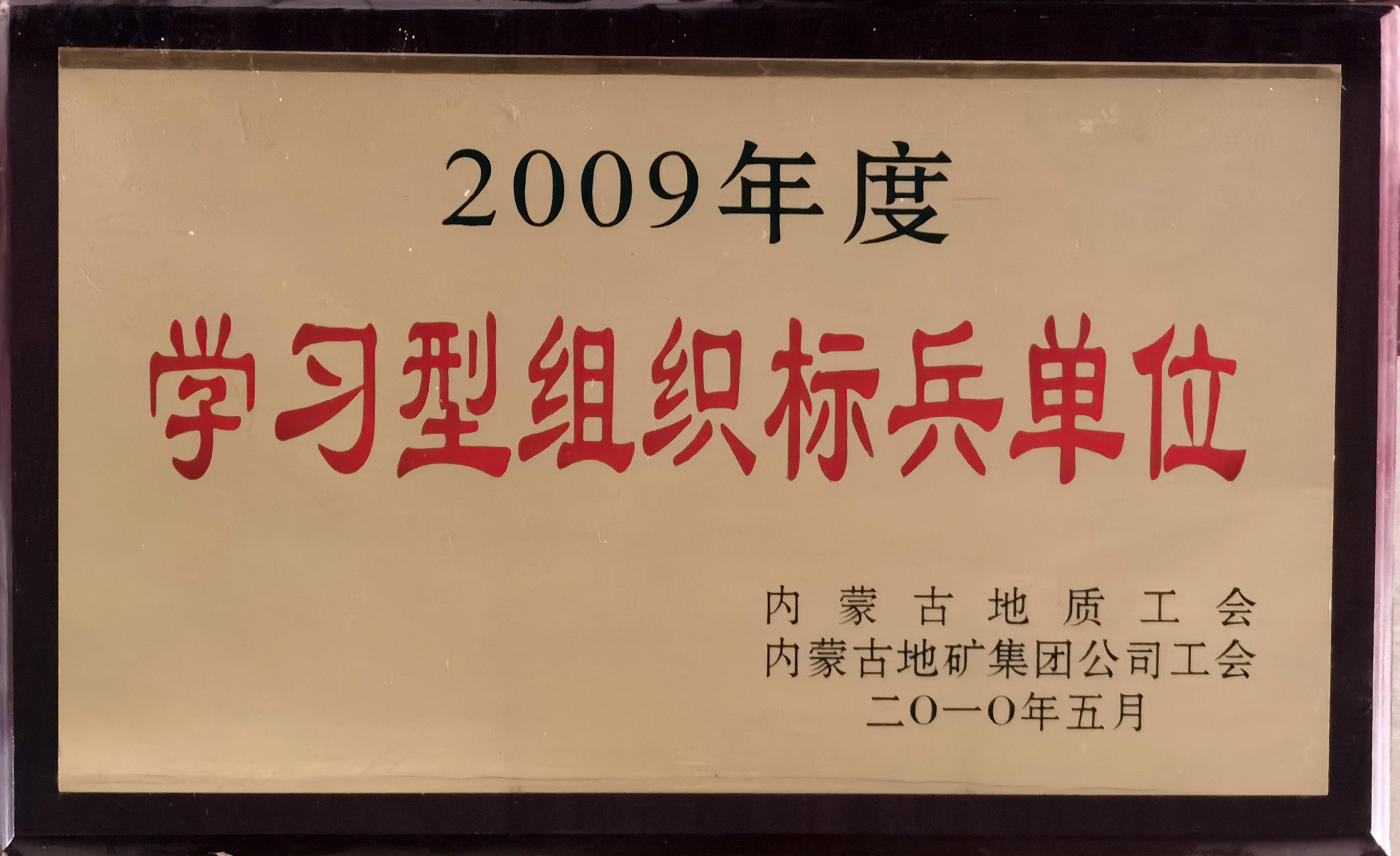 201003.2009年度學(xué)習(xí)型組織標(biāo)兵單位.jpg