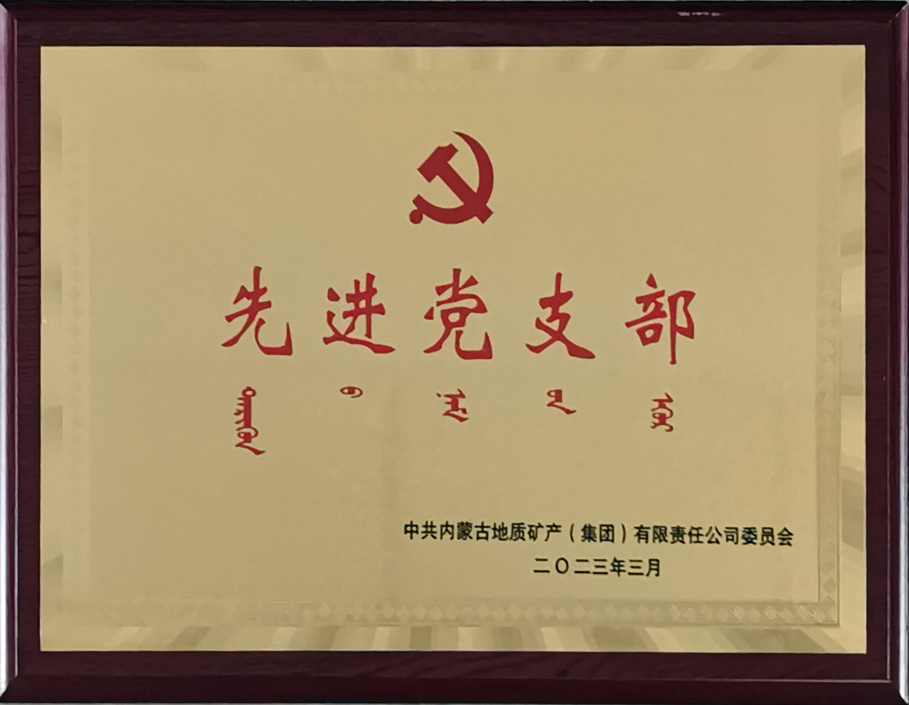 2022年度物測(cè)環(huán)境黨支部?jī)?nèi)蒙古地礦集團(tuán)先進(jìn)黨支部.jpg
